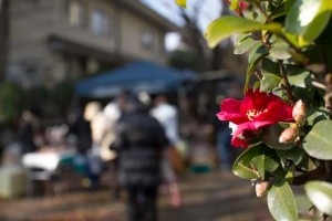 IMG_9193