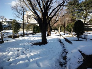 公園側の緑道